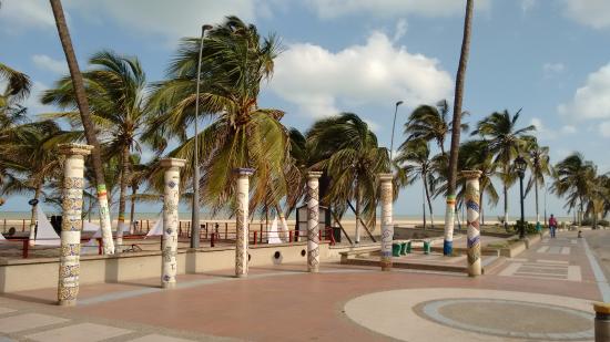 camellon-de-riohacha camellon-de-riohacha